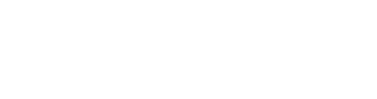Odysseus Solutions™